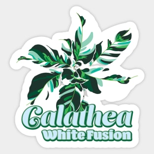 Calathea White Fusion Sticker